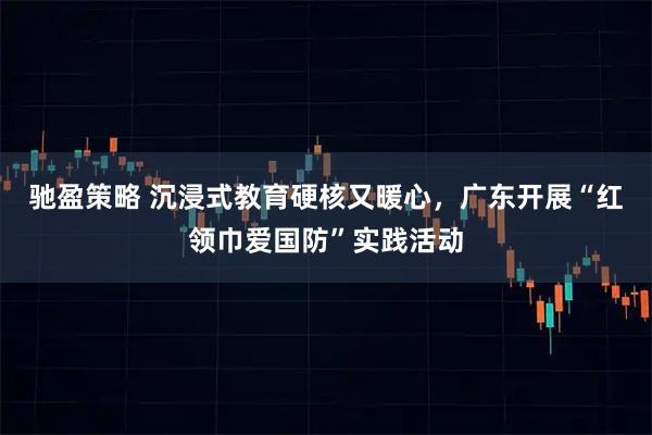 驰盈策略 沉浸式教育硬核又暖心，广东开展“红领巾爱国防”实践活动