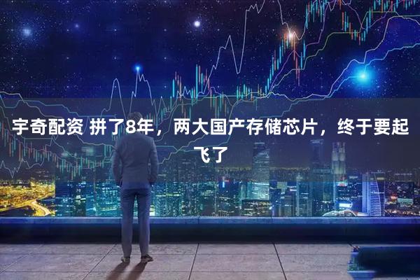 宇奇配资 拼了8年，两大国产存储芯片，终于要起飞了
