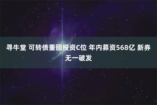 寻牛堂 可转债重回投资C位 年内募资568亿 新券无一破发